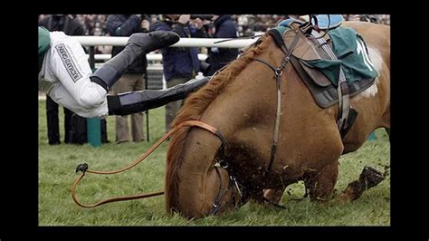 The Untold Truth: How Many Horses Really Died During the .